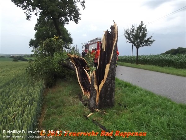 Mehrere umgestürzte Bäume durch Gewitter