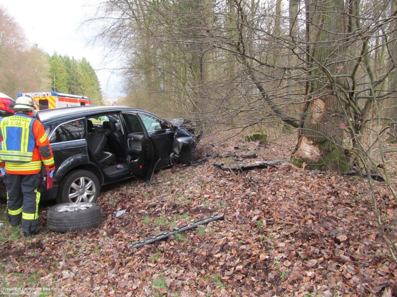 PKW gegen Baum