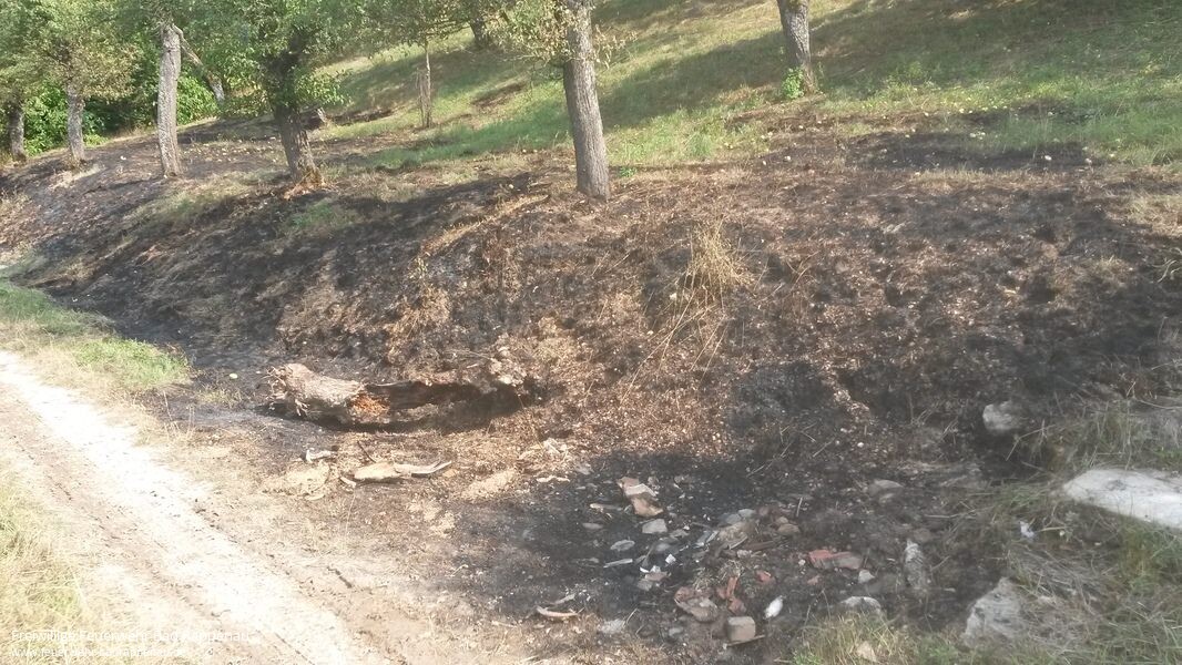 Flächenbrand an der K2041 - Nr.2