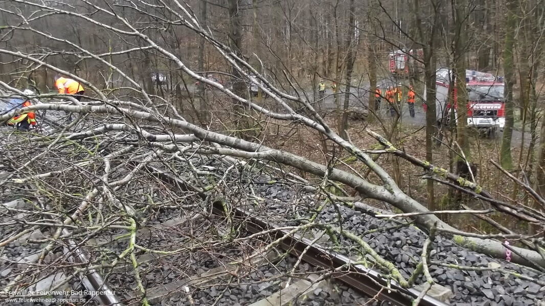 Baum auf Oberleitung