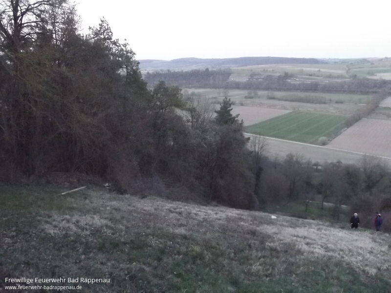Gleitschirmflieger landet in Baumkrone