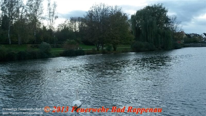 Tiernotlage "verletzter Schwan" im Kurpark