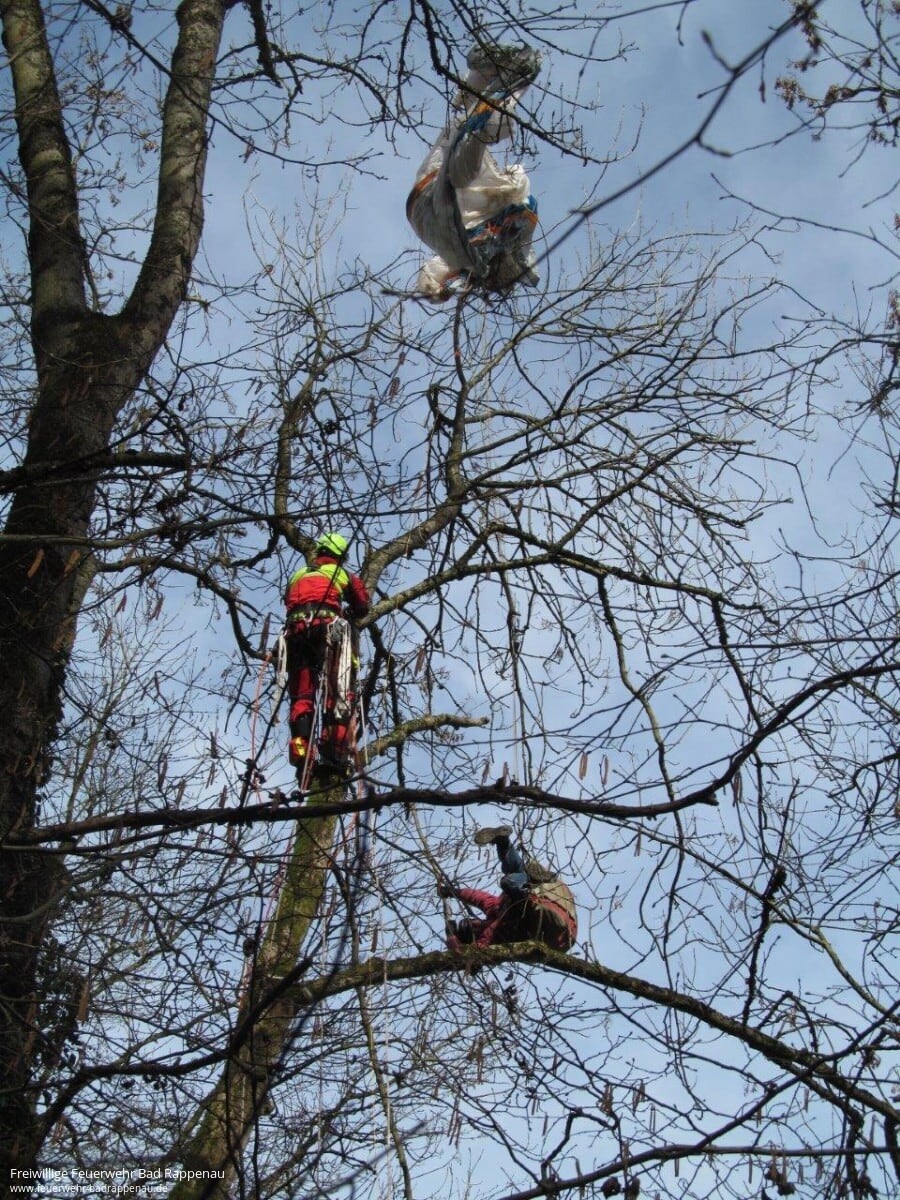 Gleitschirmflieger in Baum