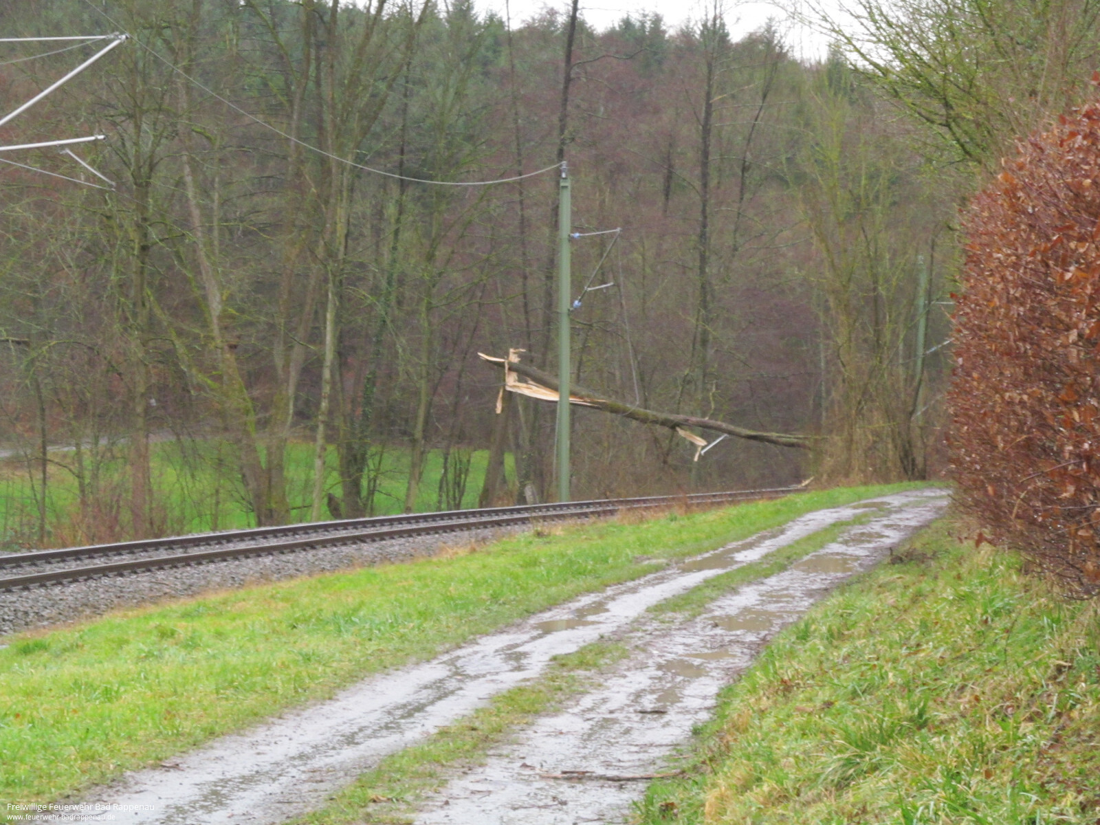 Baum stürzt auf Bahnoberleitung