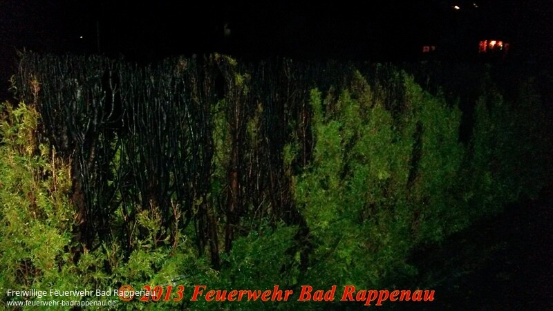 Hecke in Brand geraten